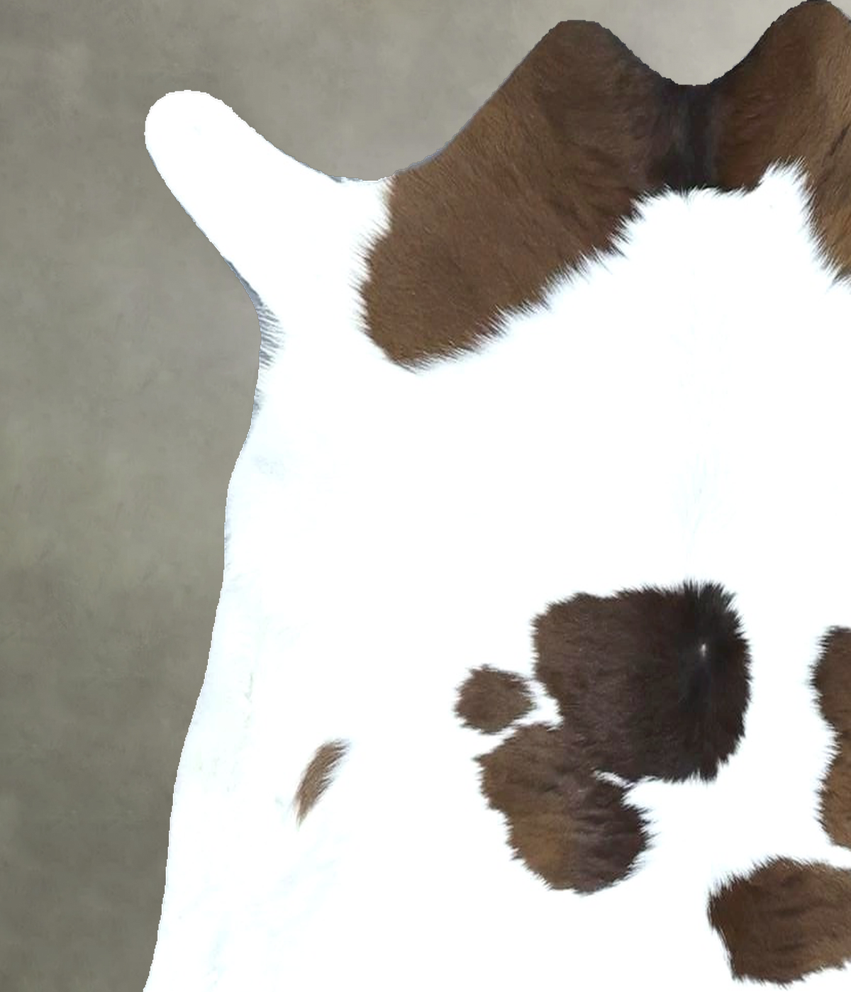 Calfhide Approx 2'x3' #B21966 by Hudson Hides