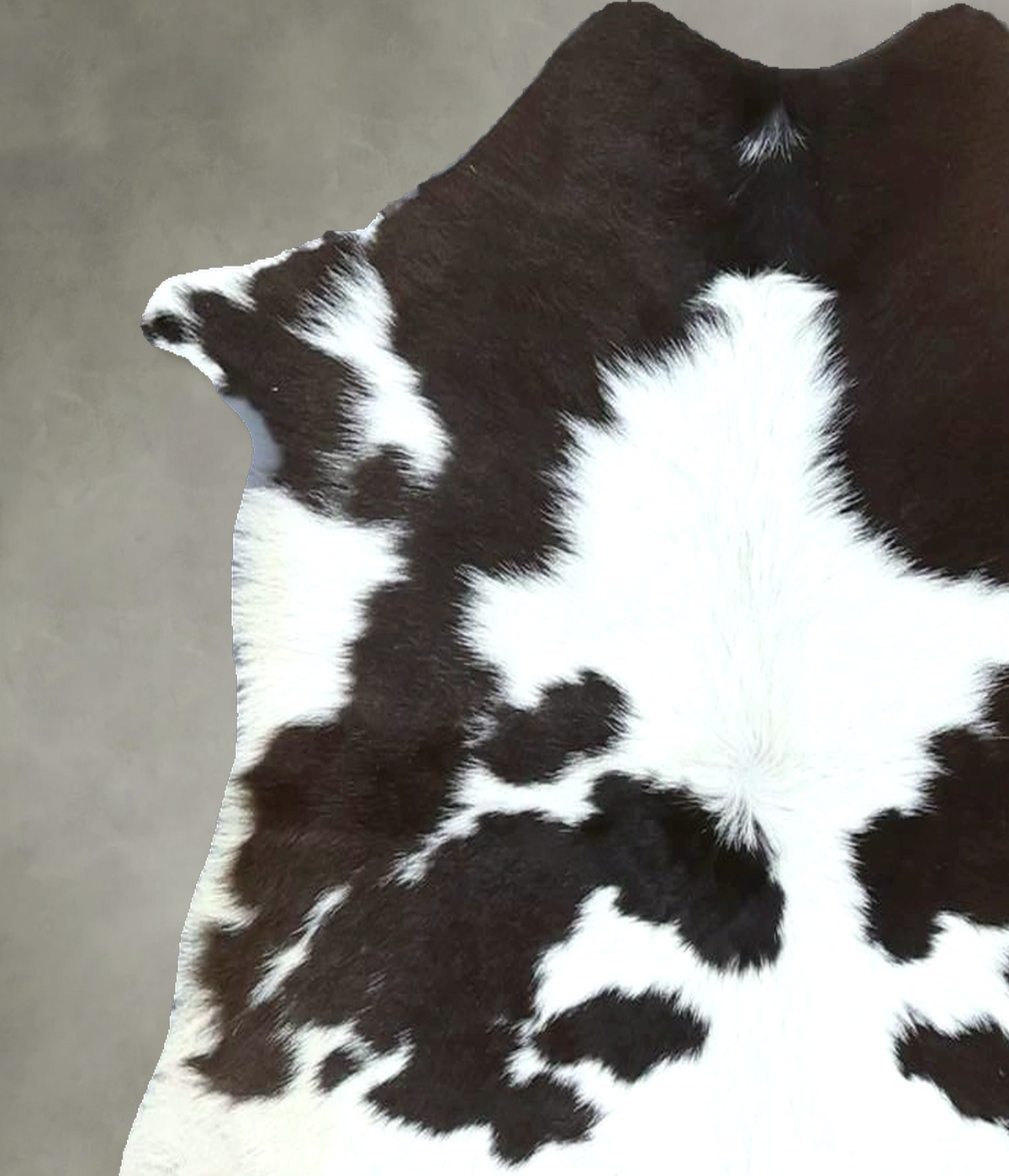 Calfhide Approx 2'x3' #B21968 by Hudson Hides
