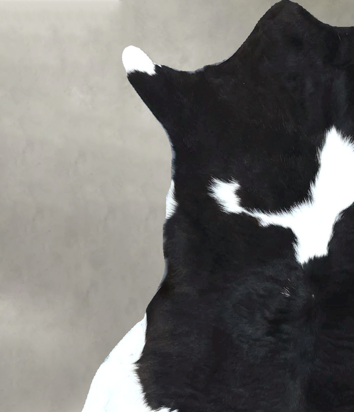 Calfhide Approx 2'x3' #B21971 by Hudson Hides
