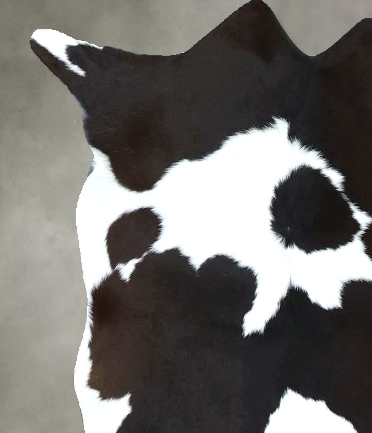 Calfhide Approx 2'x3' #B21973 by Hudson Hides