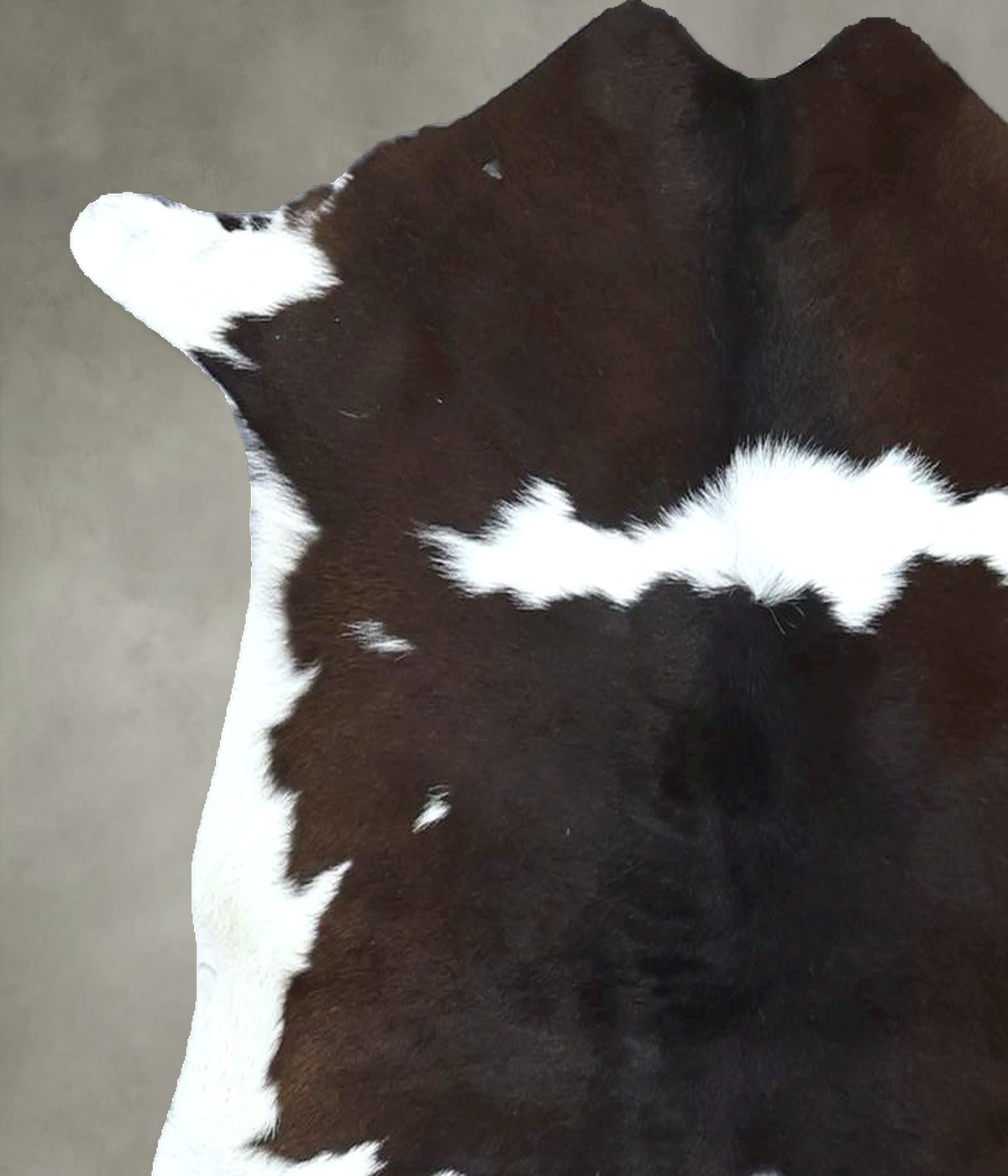 Calfhide Approx 2'x3' #B21975 by Hudson Hides