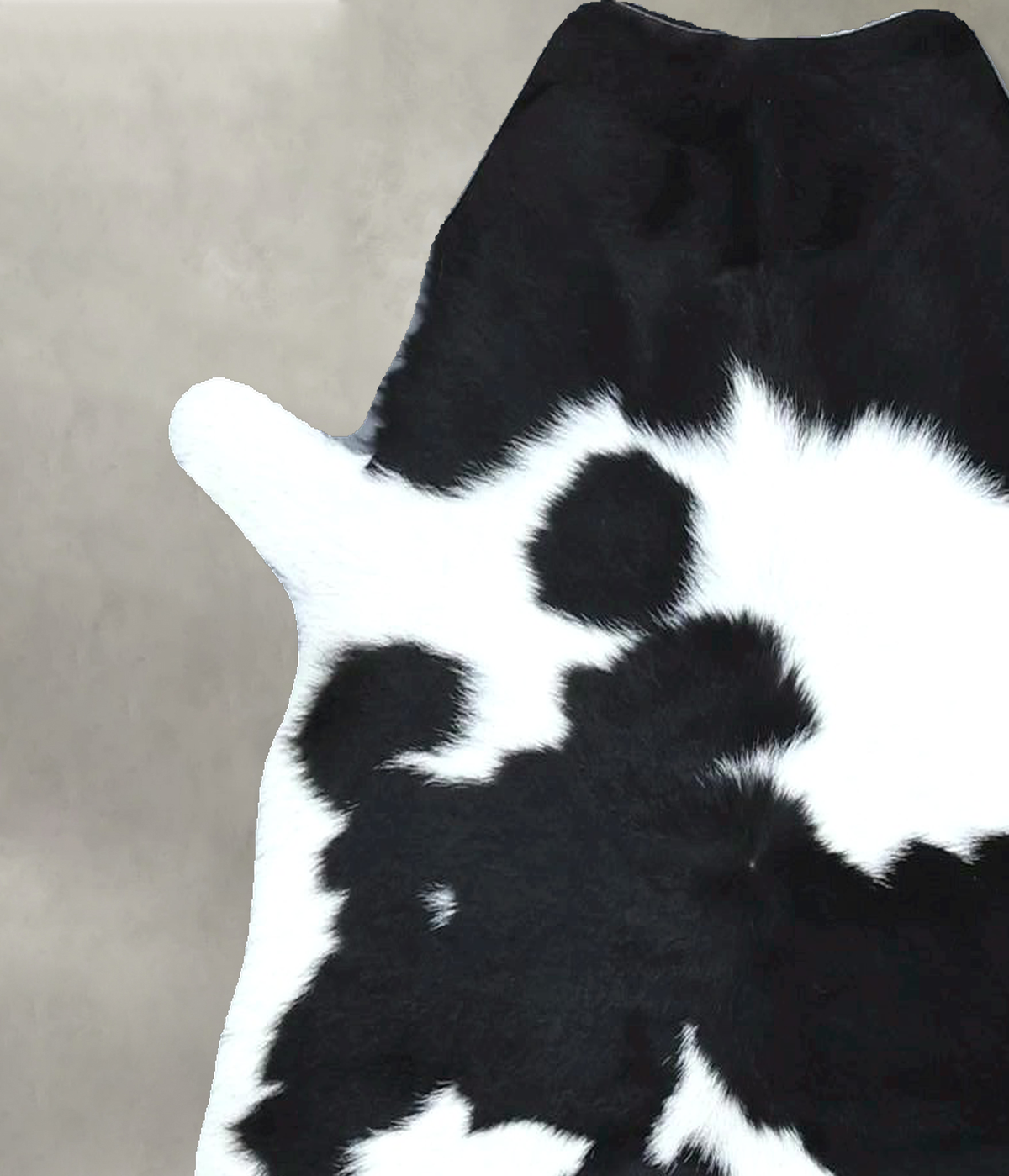 Calfhide Approx 2'x3' #B21976 by Hudson Hides