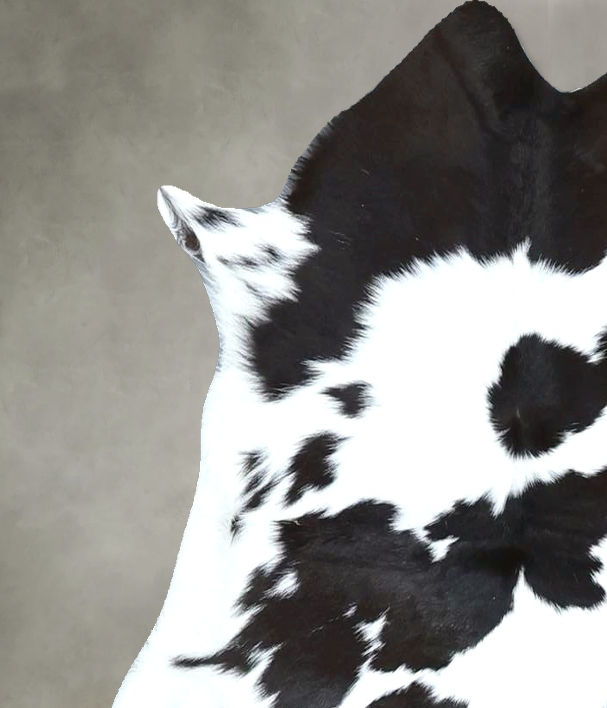 Calfhide Approx 2'x3' #B21979 by Hudson Hides