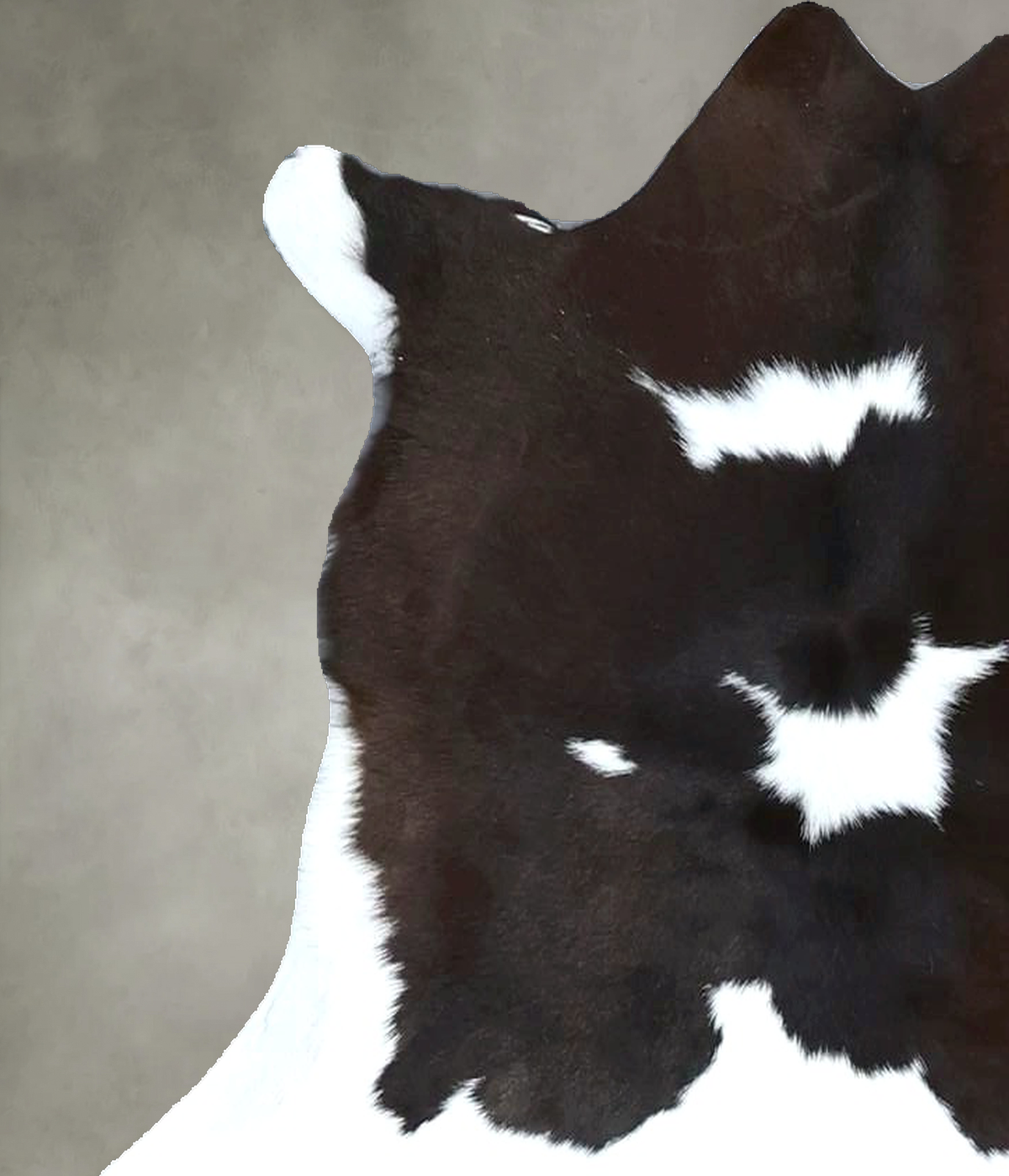 Calfhide Approx 2'x3' #B21981 by Hudson Hides