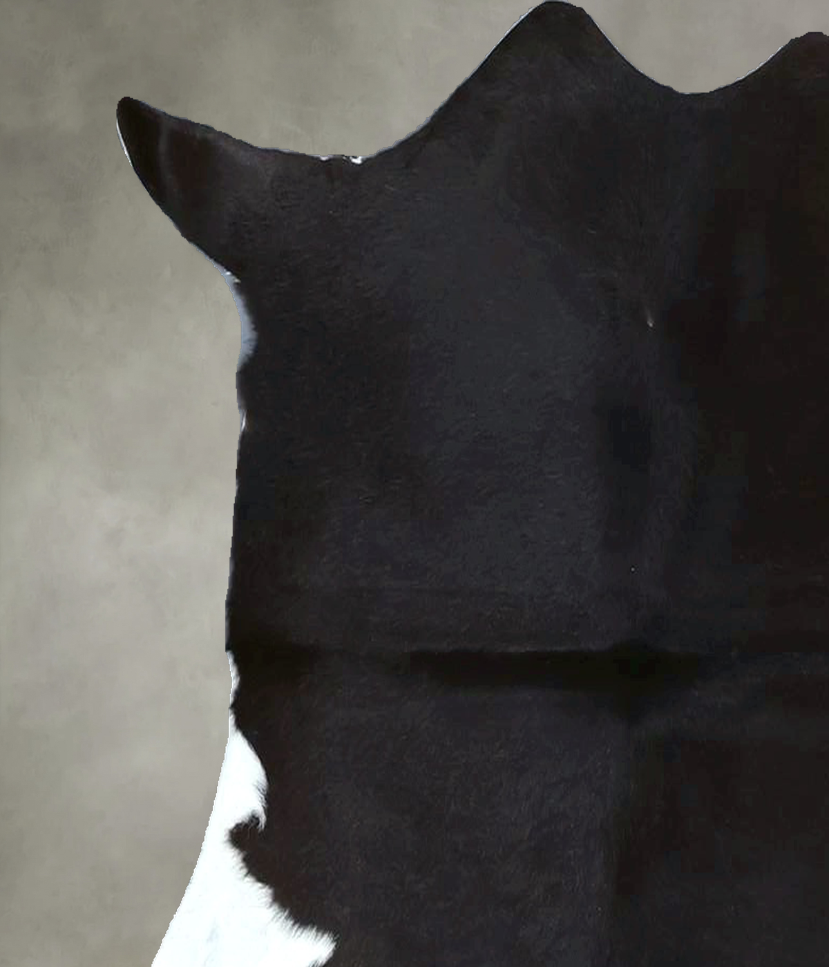Calfhide Approx 2'x3' #B21983 by Hudson Hides
