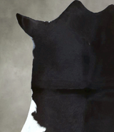 Calfhide Approx 2'x3' #B21983 by Hudson Hides