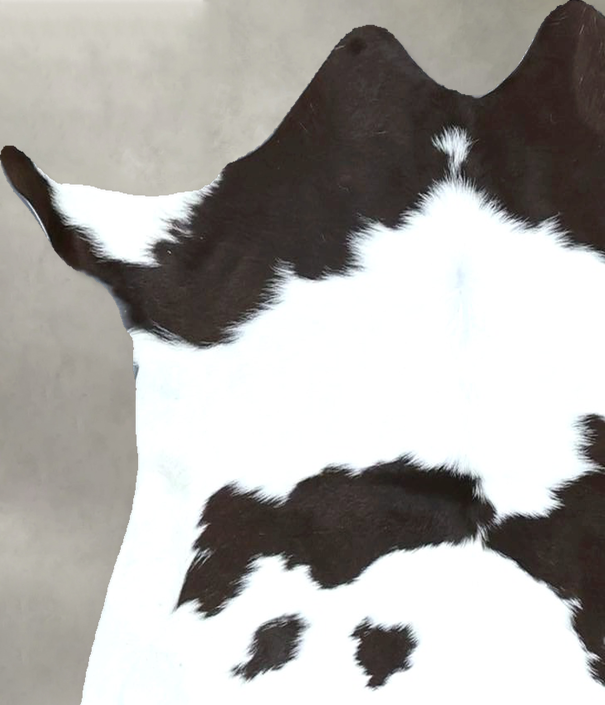 Calfhide Approx 2'x3' #B21985 by Hudson Hides