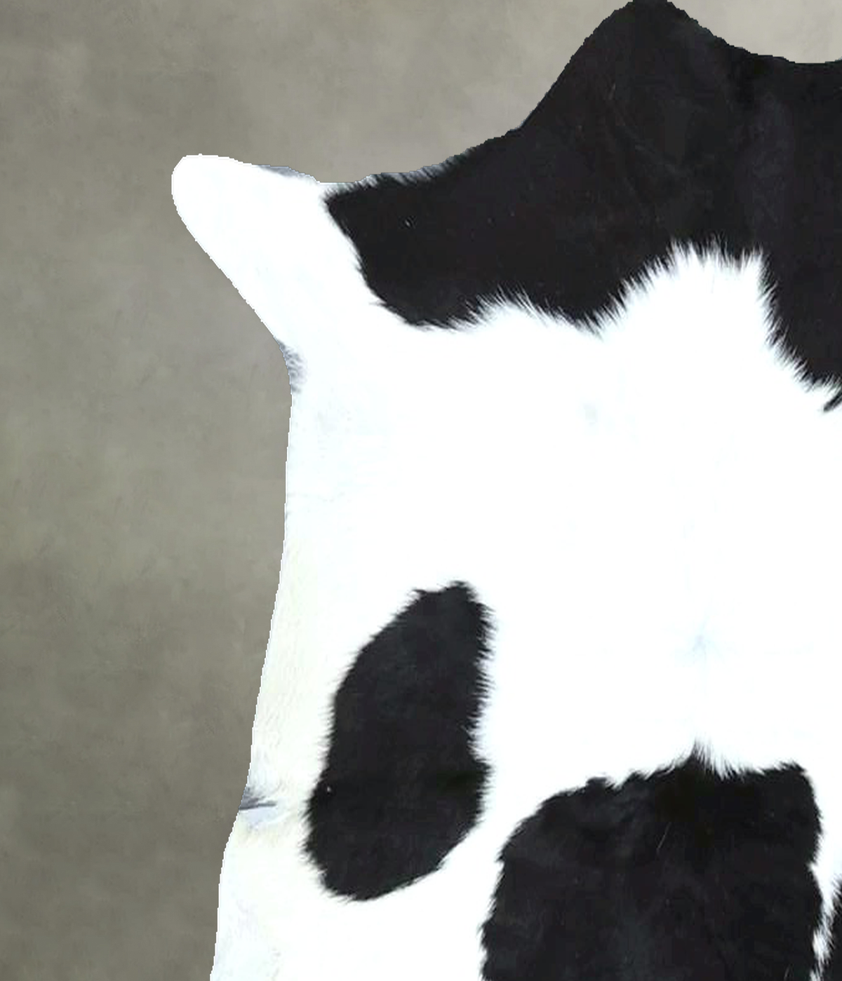 Calfhide Approx 2'x3' #B21989 by Hudson Hides
