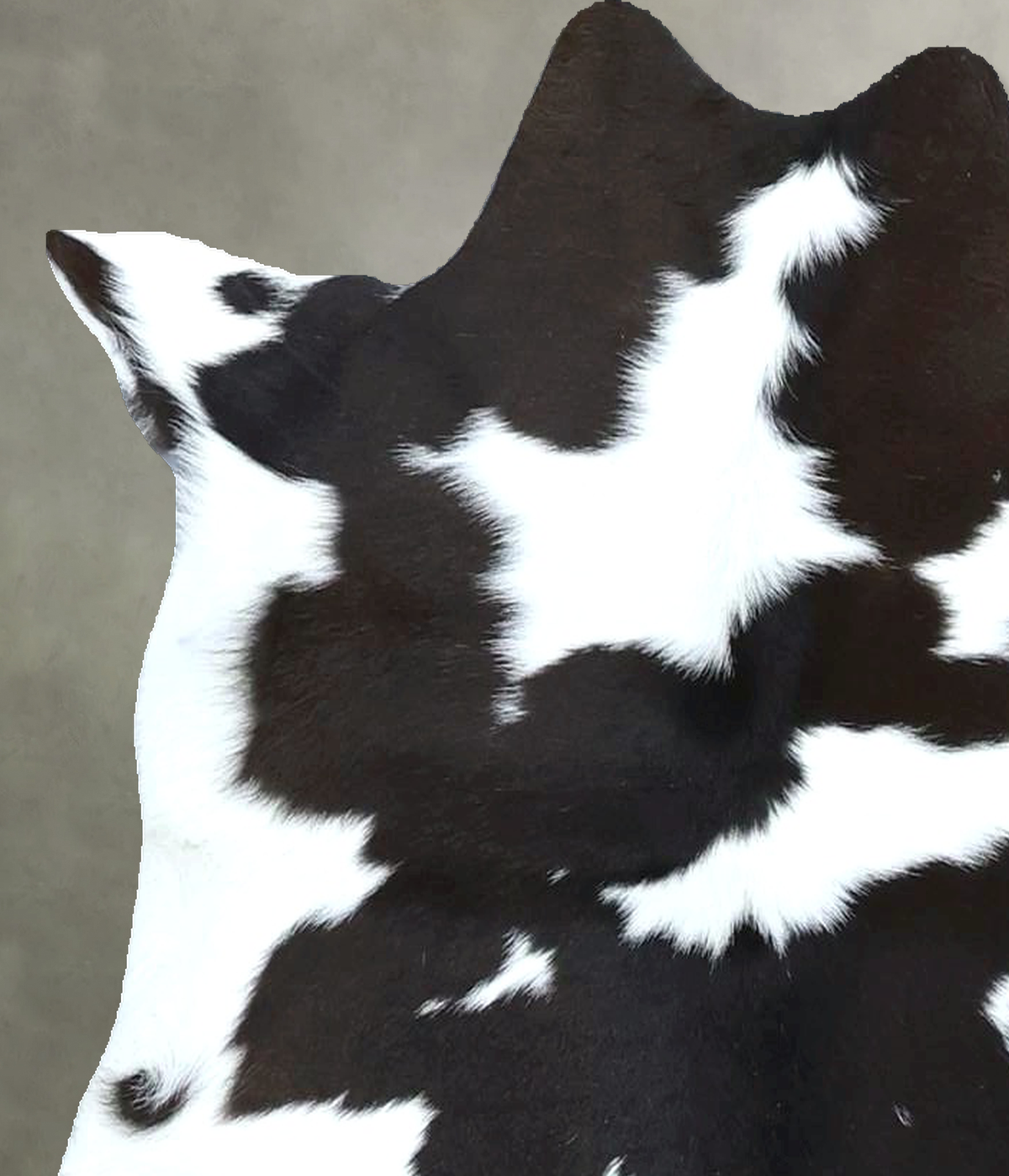 Calfhide Approx 2'x3' #B21990 by Hudson Hides