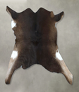 Calfhide Approx 2'x3' #B21991 by Hudson Hides