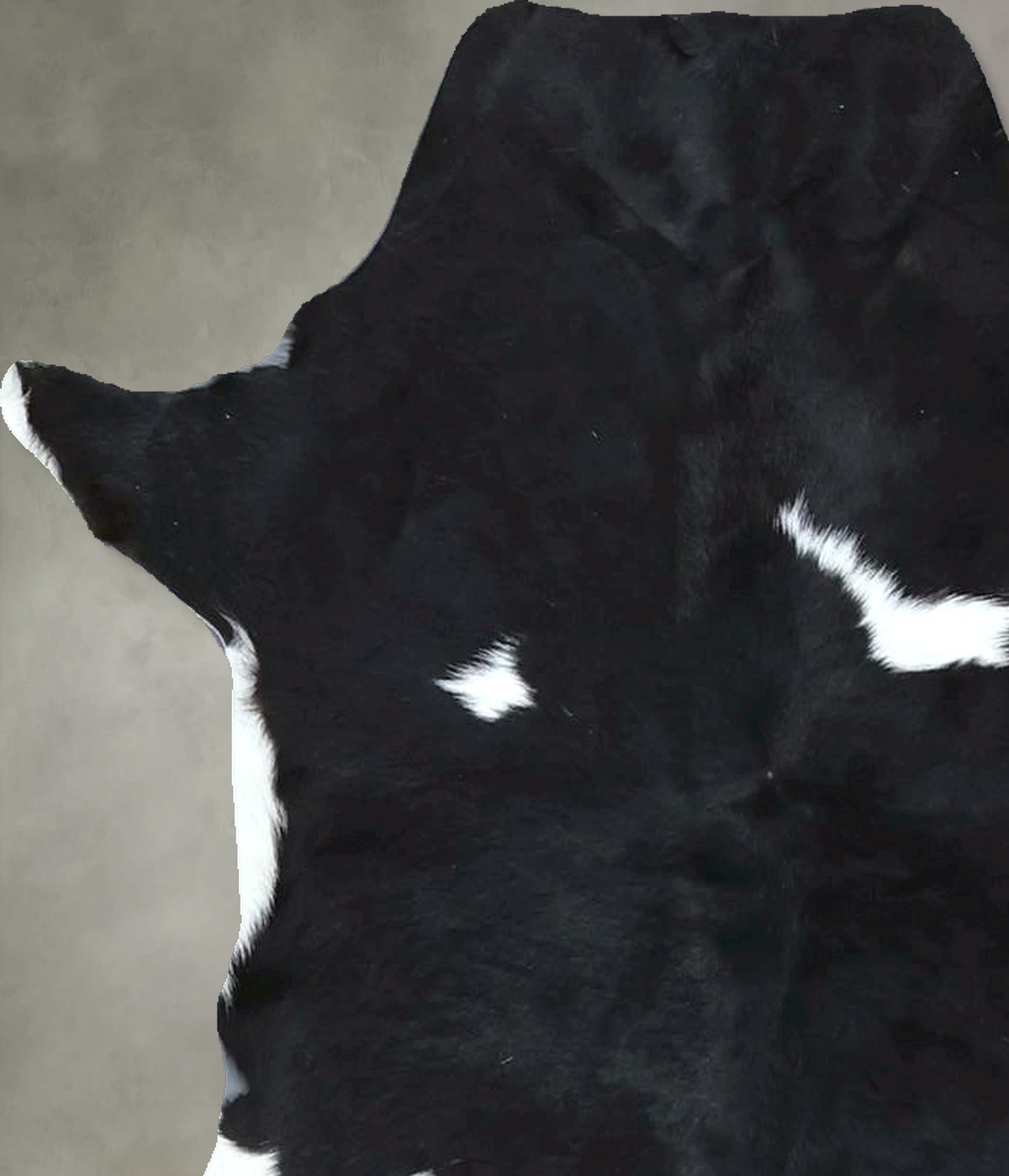Calfhide Approx 2'x3' #B21992 by Hudson Hides