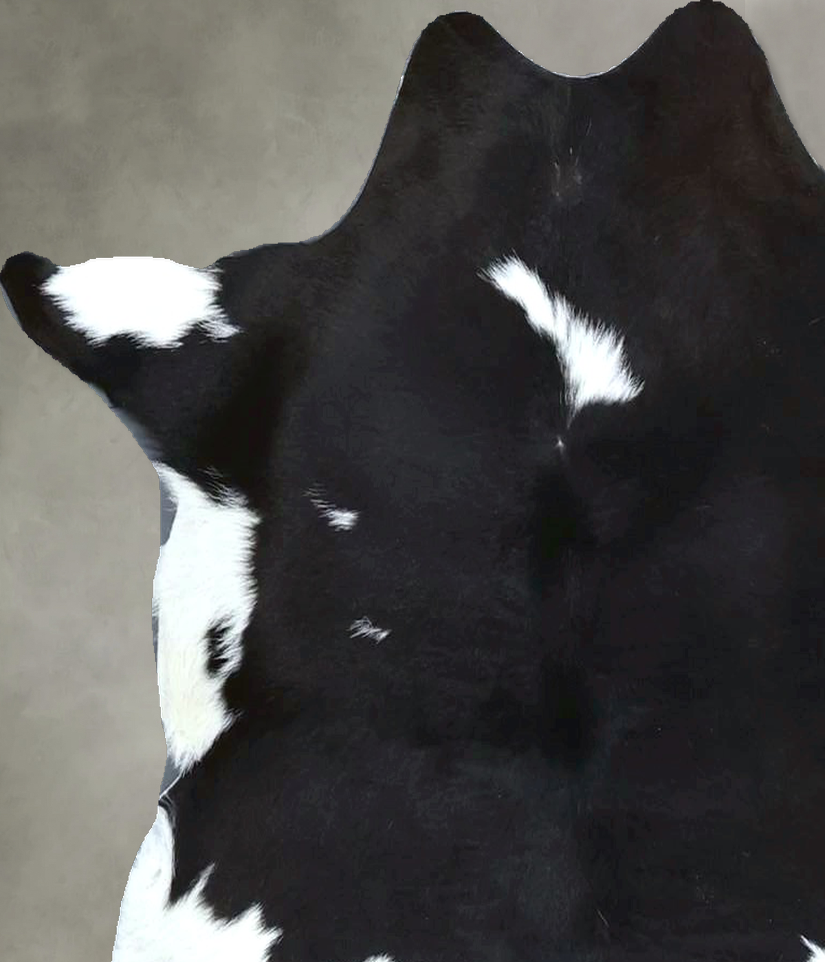 Calfhide Approx 2'x3' #B21993 by Hudson Hides