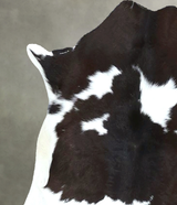 Calfhide Approx 2'x3' #B21994 by Hudson Hides