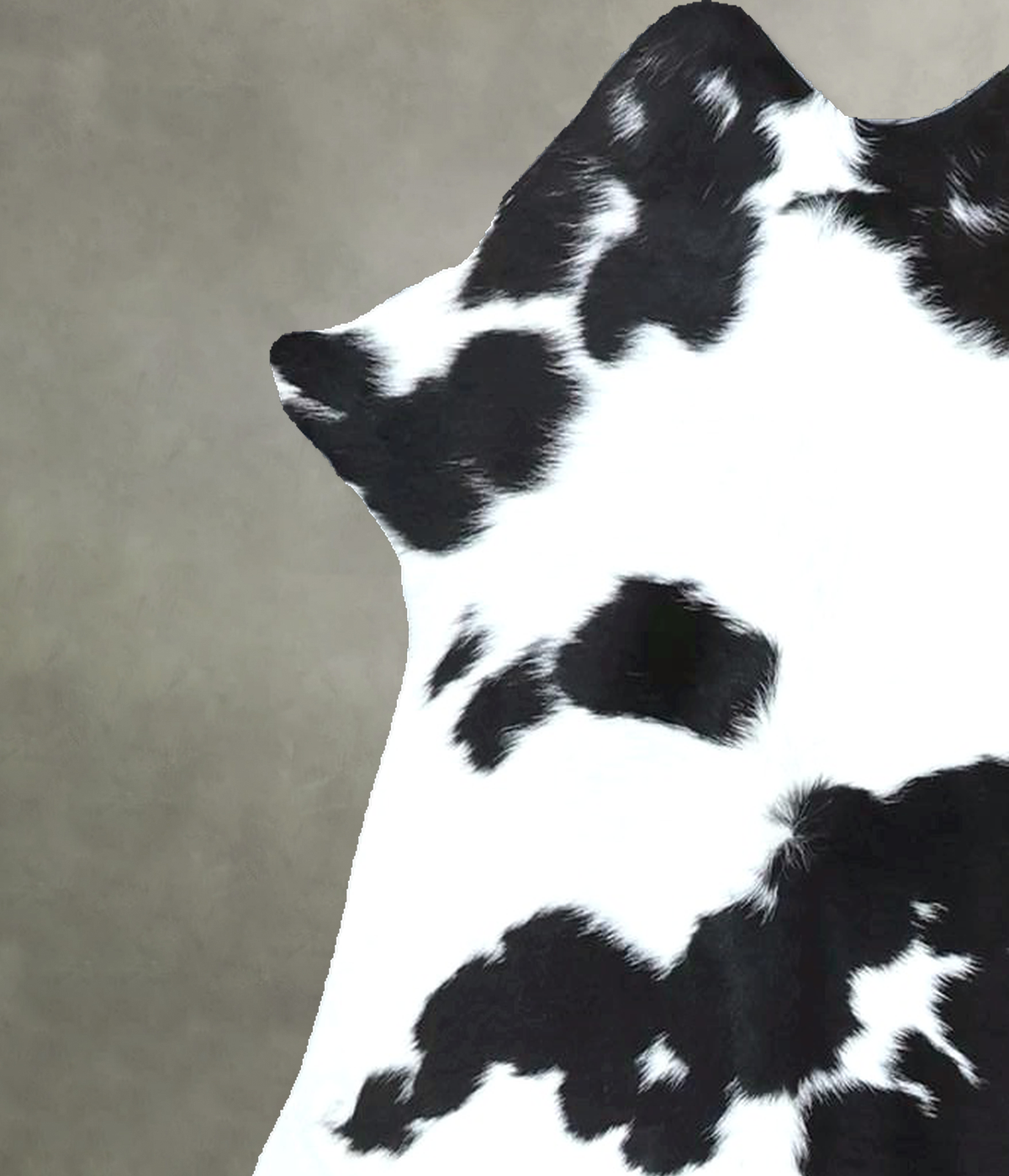 Calfhide Approx 2'x3' #B21995 by Hudson Hides