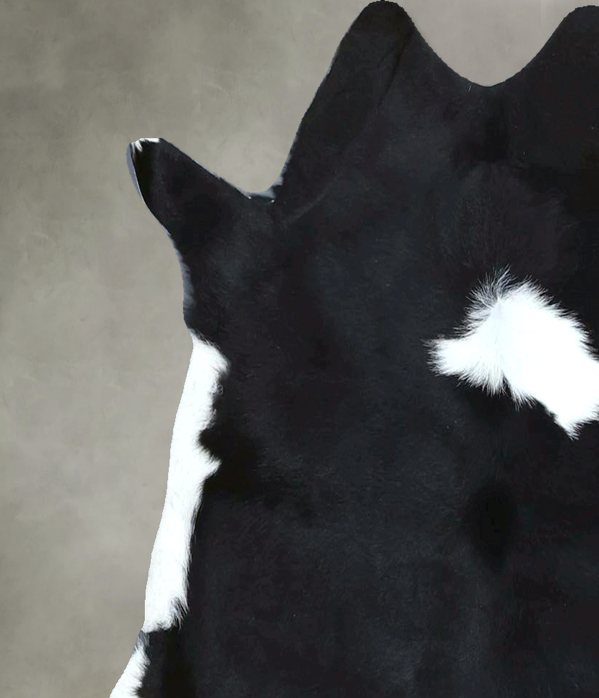 Calfhide Approx 2'x3' #B21998 by Hudson Hides