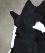 Calfhide Approx 2'x3' #B21998 by Hudson Hides