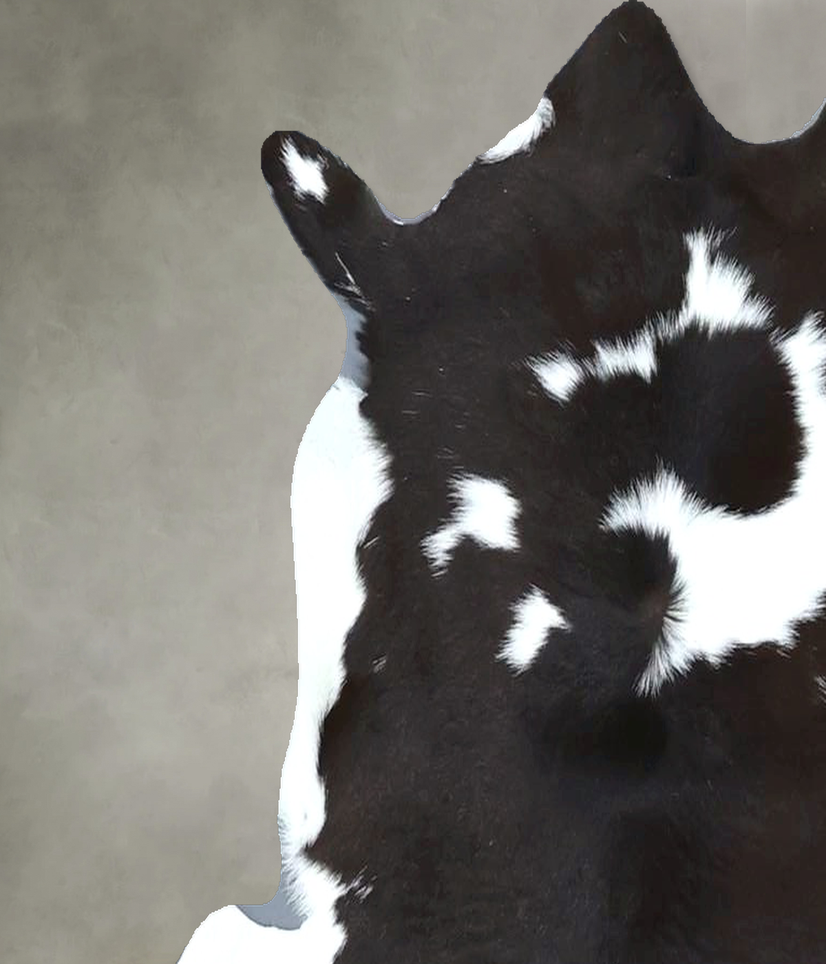 Calfhide Approx 2'x3' #B21999 by Hudson Hides
