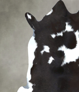 Calfhide Approx 2'x3' #B21999 by Hudson Hides