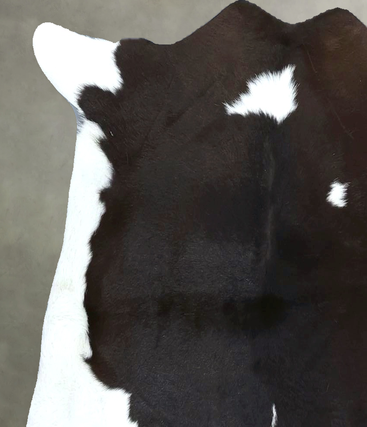 Calfhide Approx 2'x3' #B22001 by Hudson Hides