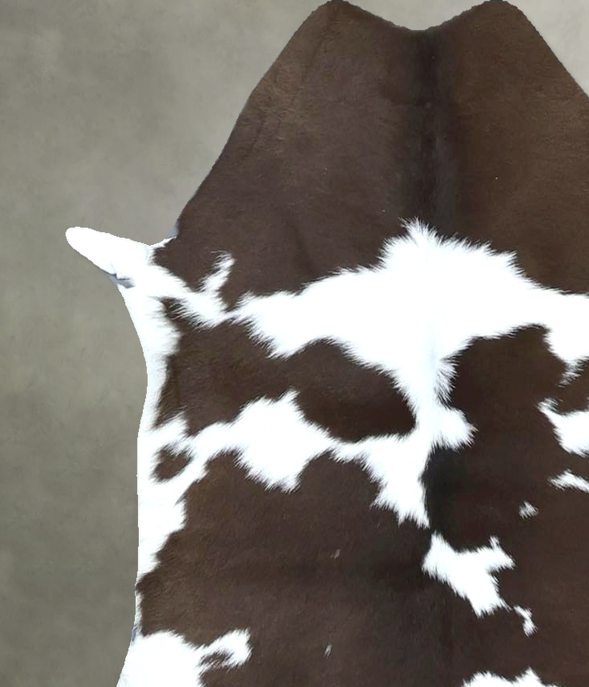 Calfhide Approx 2'x3' #B22005 by Hudson Hides