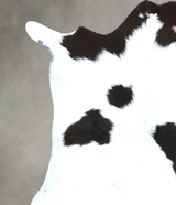 Calfhide Approx 2'x3' #B22008 by Hudson Hides