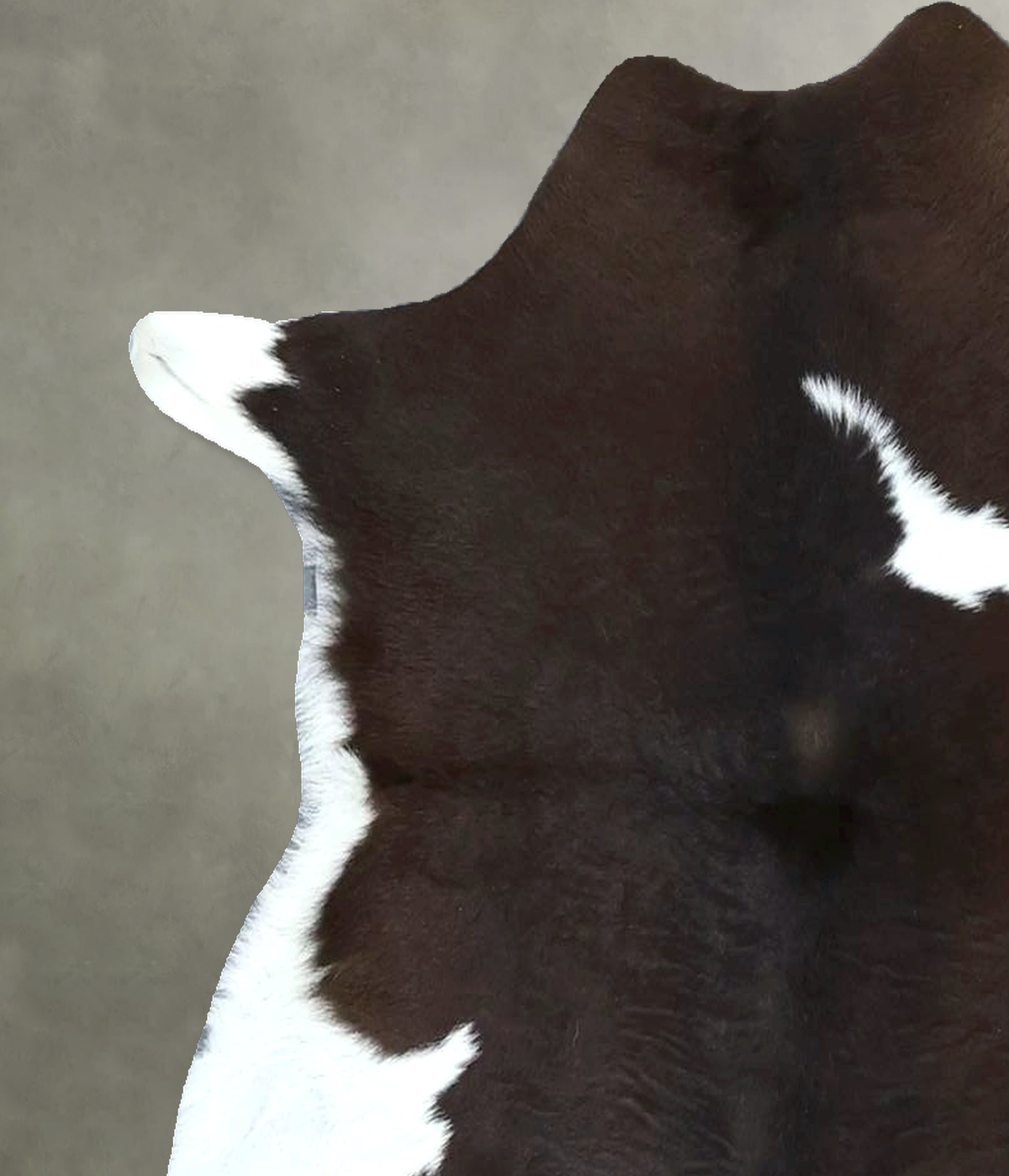 Calfhide Approx 2'x3' #B22010 by Hudson Hides