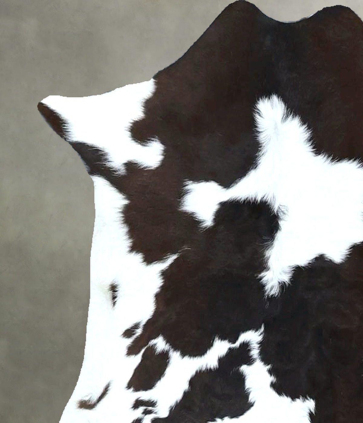Calfhide Approx 2'x3' #B22011 by Hudson Hides
