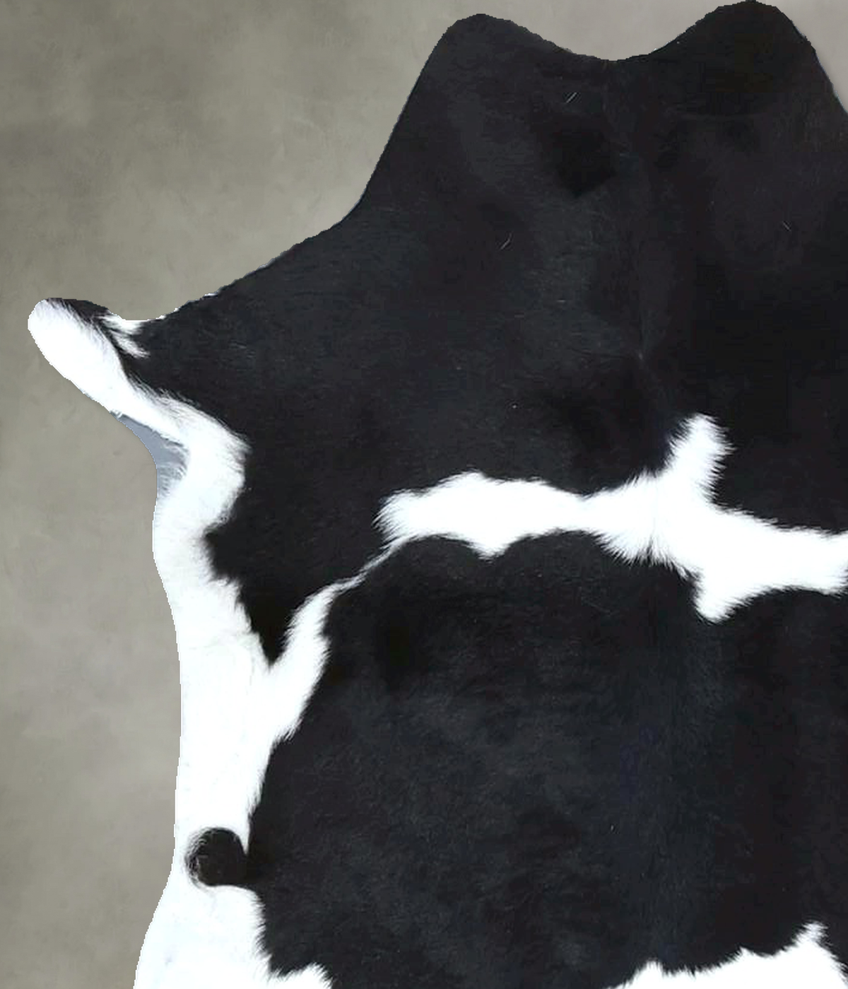 Calfhide Approx 2'x3' #B22013 by Hudson Hides