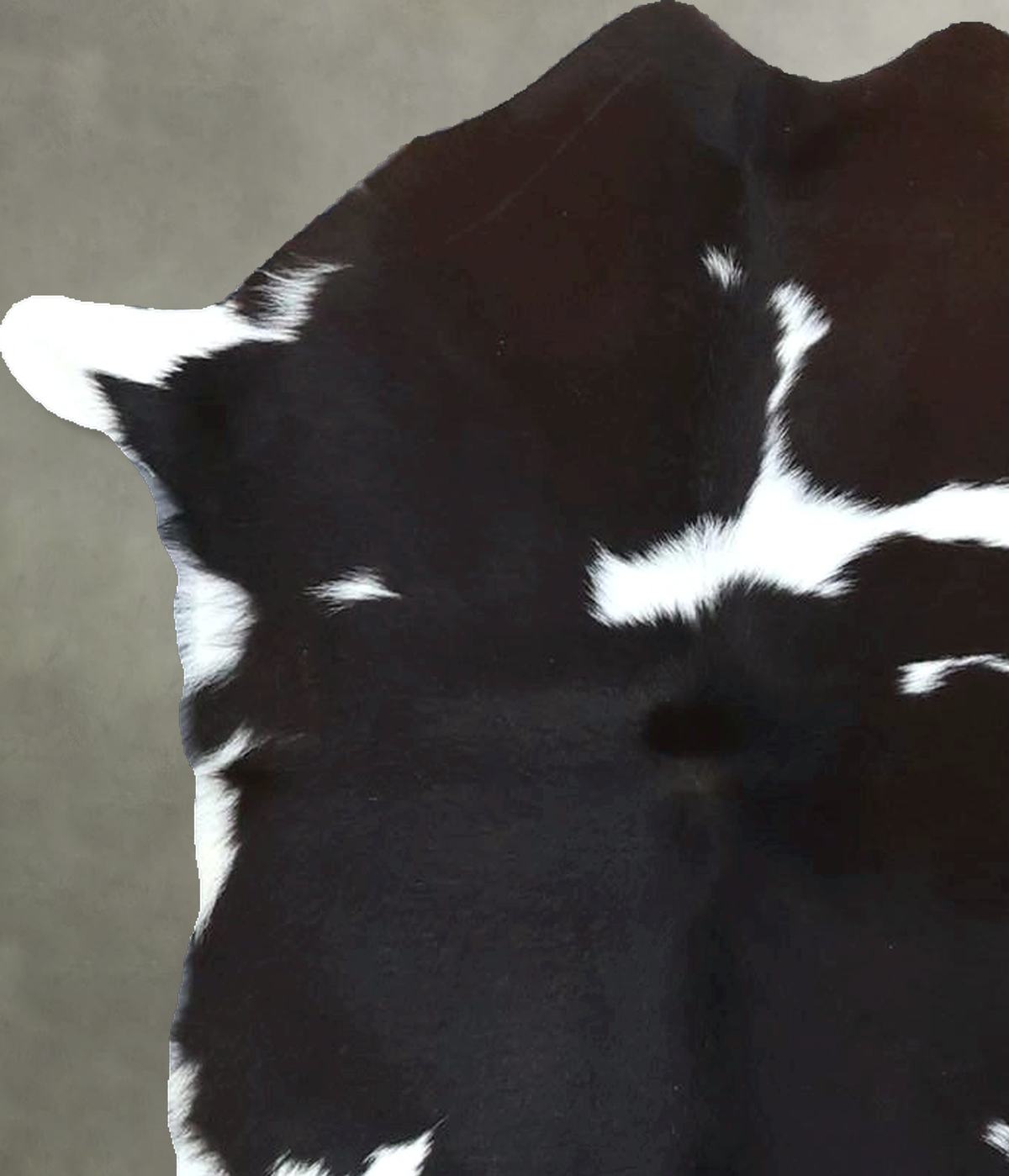 Calfhide Approx 2'x3' #B22019 by Hudson Hides