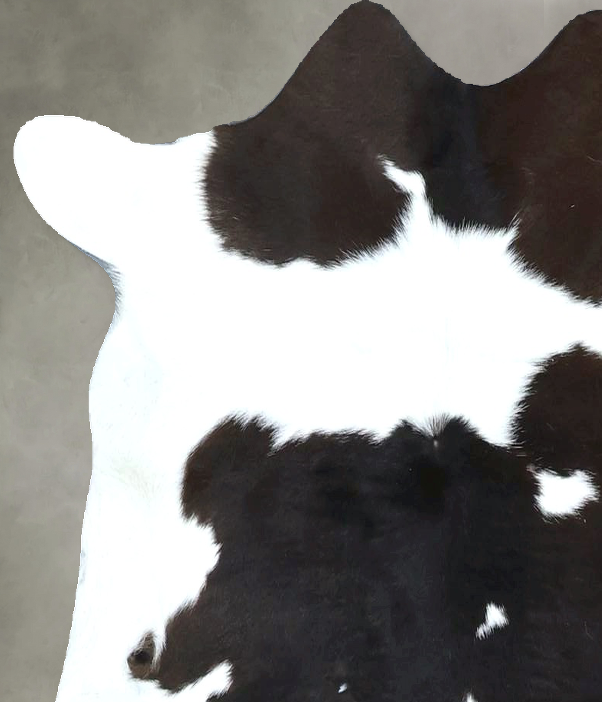 Calfhide Approx 2'x3' #B22020 by Hudson Hides
