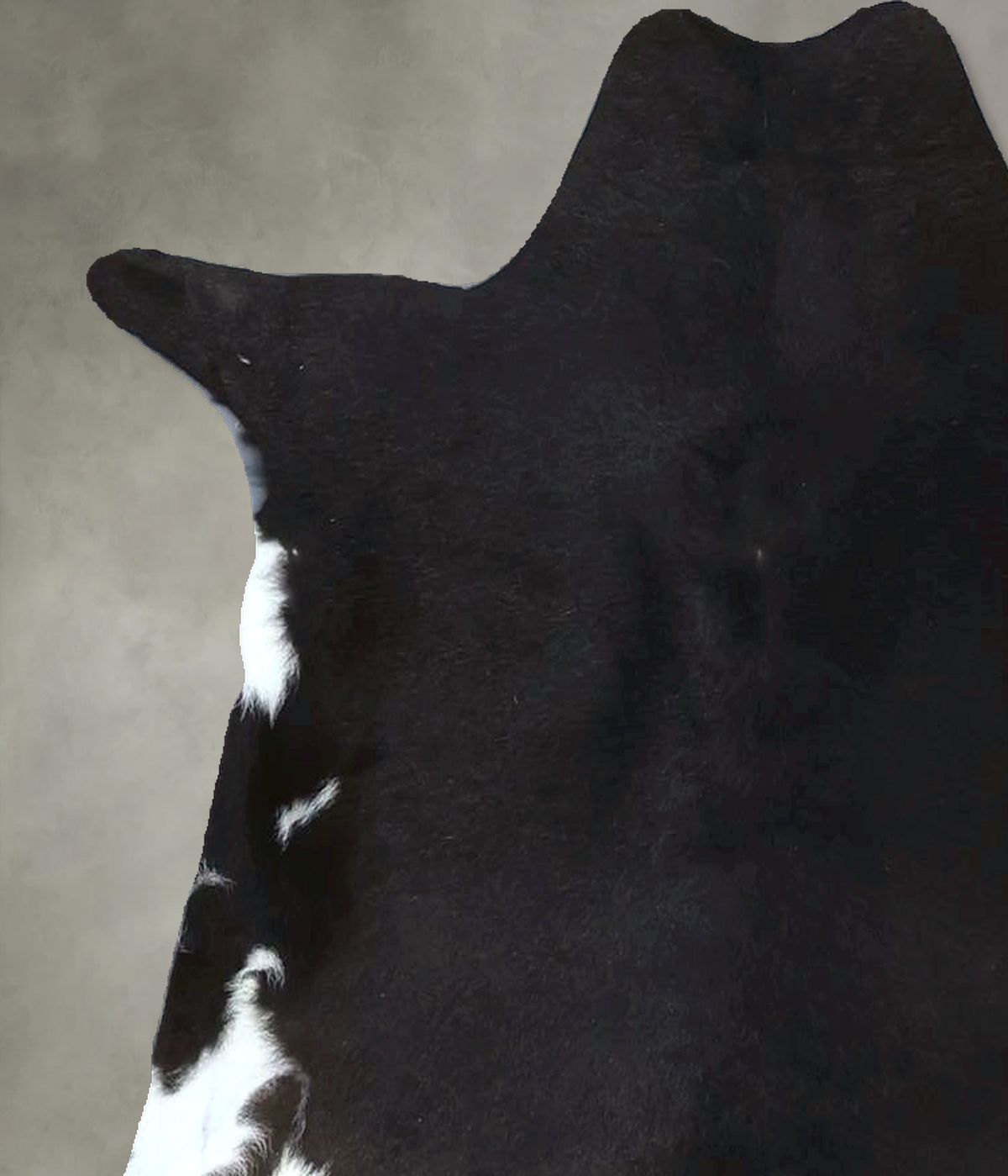 Calfhide Approx 2'x3' #B22021 by Hudson Hides