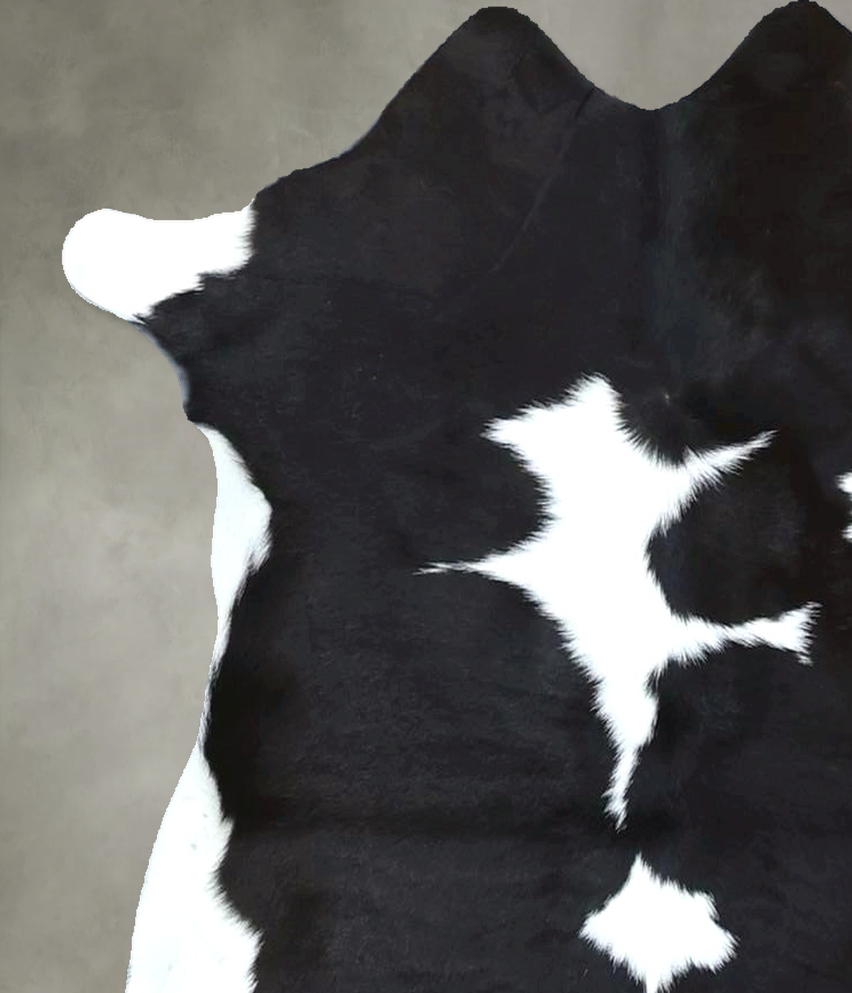 Calfhide Approx 2'x3' #B22022 by Hudson Hides