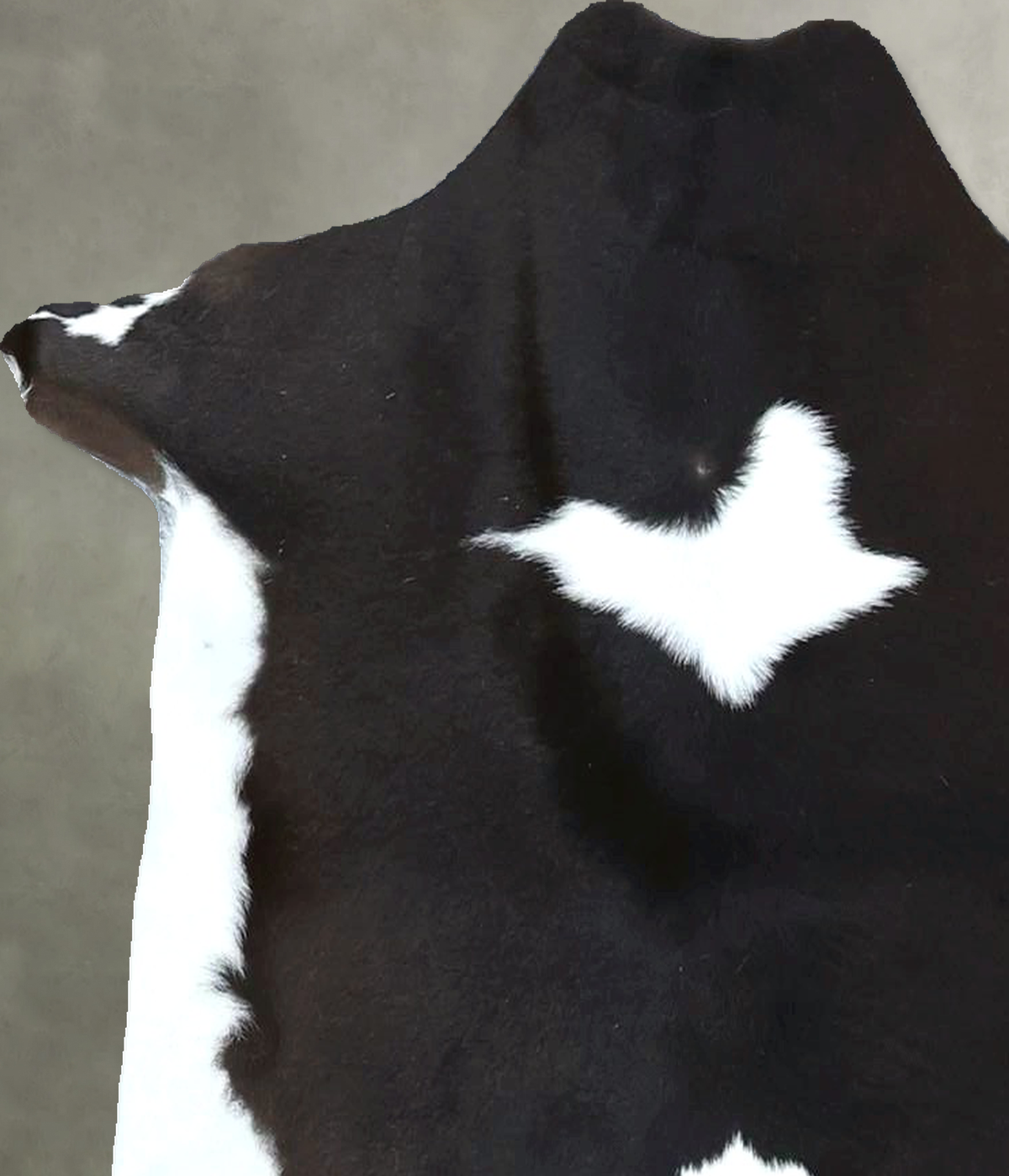 Calfhide Approx 2'x3' #B22023 by Hudson Hides