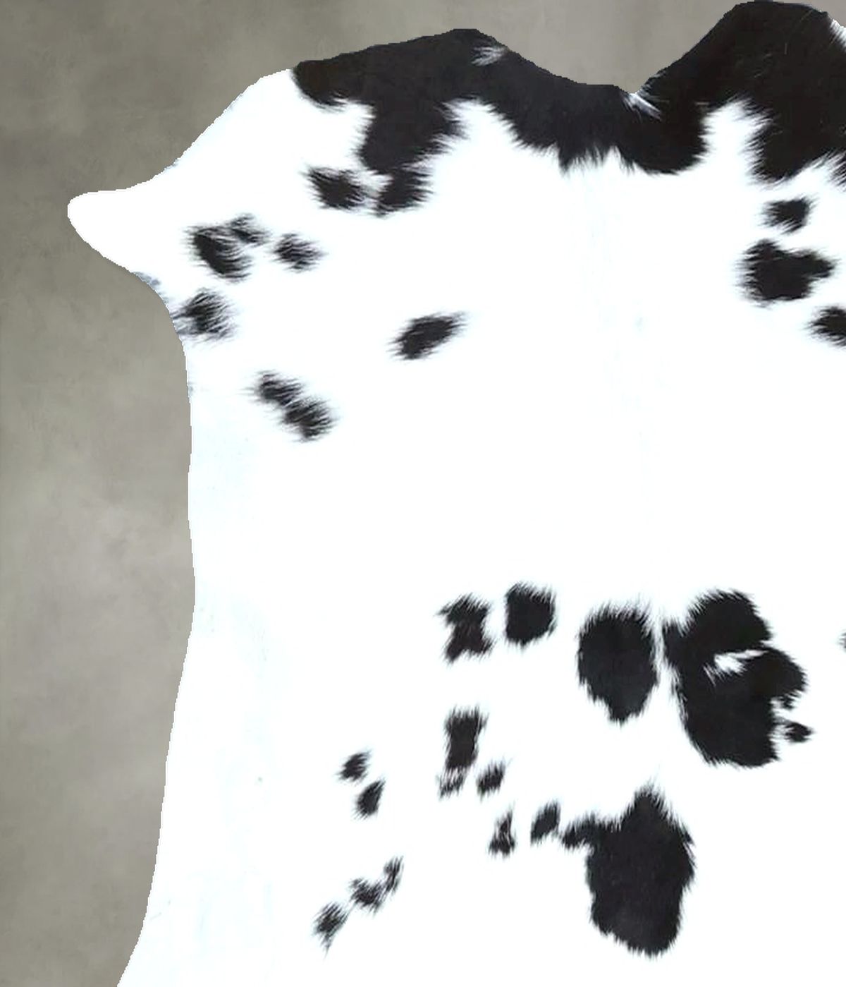 Calfhide Approx 2'x3' #B22025 by Hudson Hides