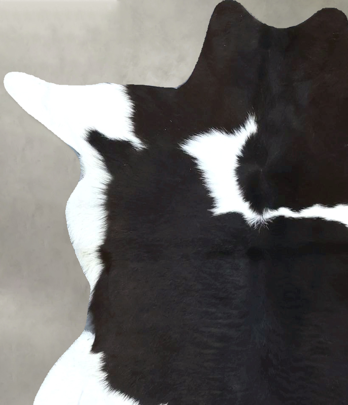 Calfhide Approx 2'x3' #B22027 by Hudson Hides