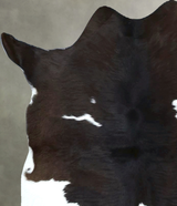 Calfhide Approx 2'x3' #B22033 by Hudson Hides