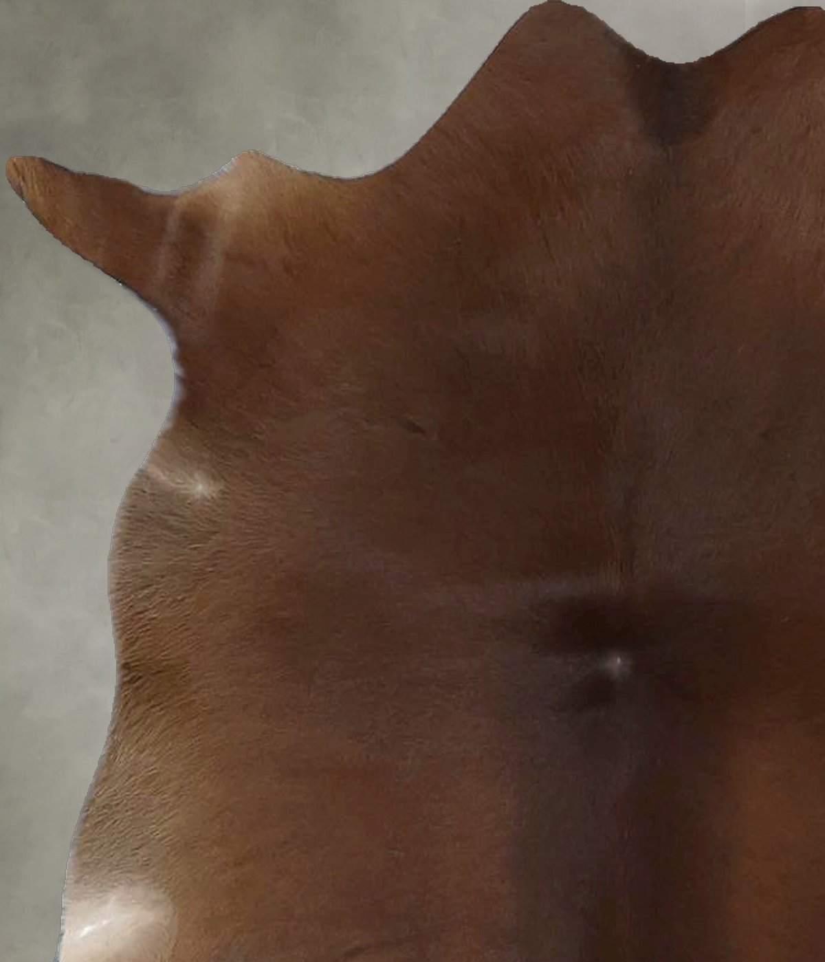 Calfhide Approx 2'x3' #B22034 by Hudson Hides