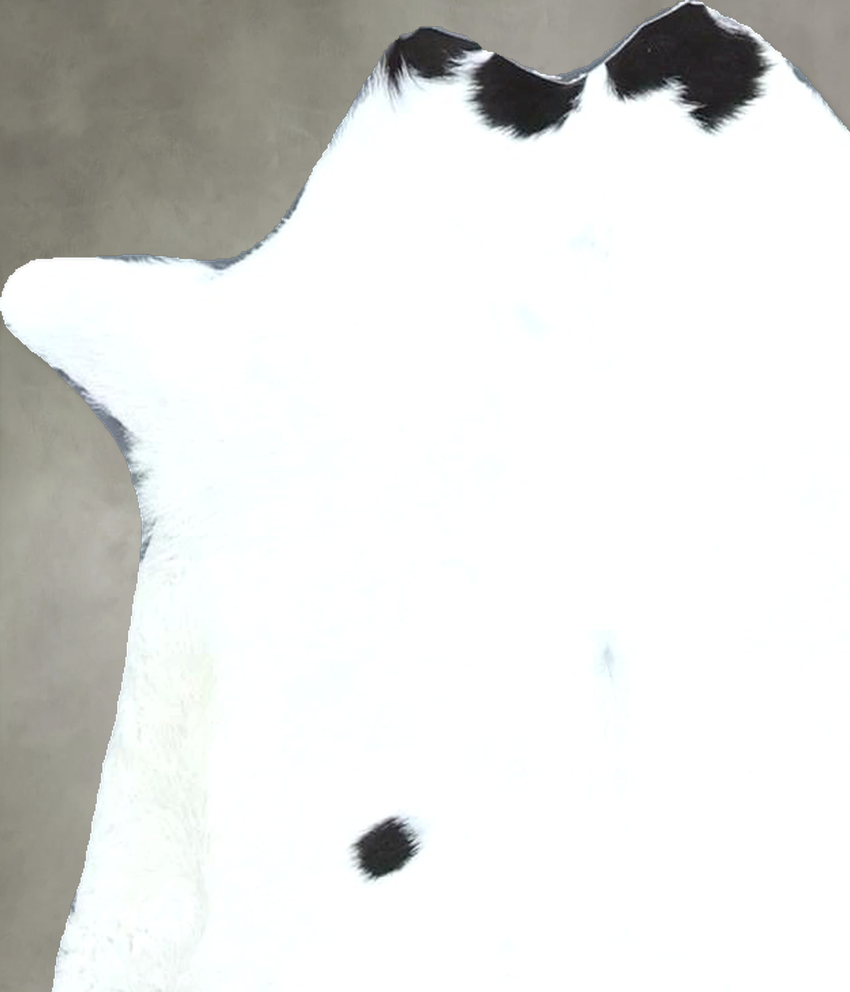 Calfhide Approx 2'x3' #B22040 by Hudson Hides