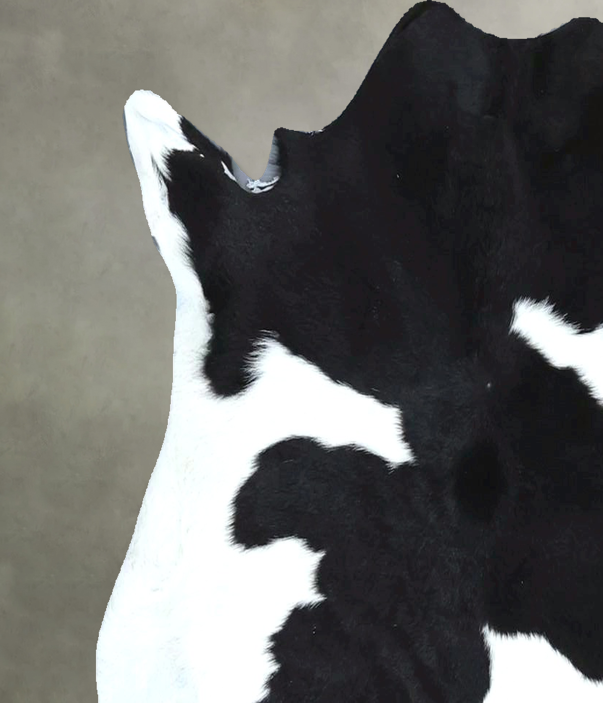 Calfhide Approx 2'x3' #B22041 by Hudson Hides