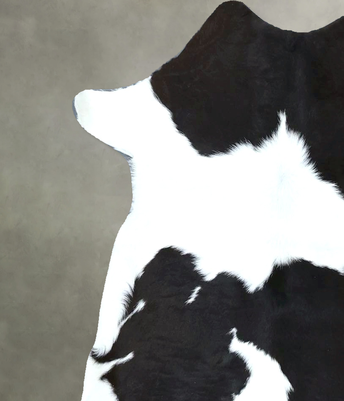 Calfhide Approx 2'x3' #B22042 by Hudson Hides