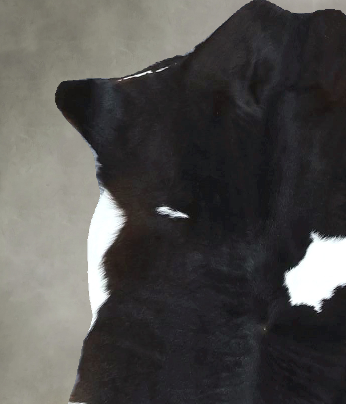 Calfhide Approx 2'x3' #B22043 by Hudson Hides