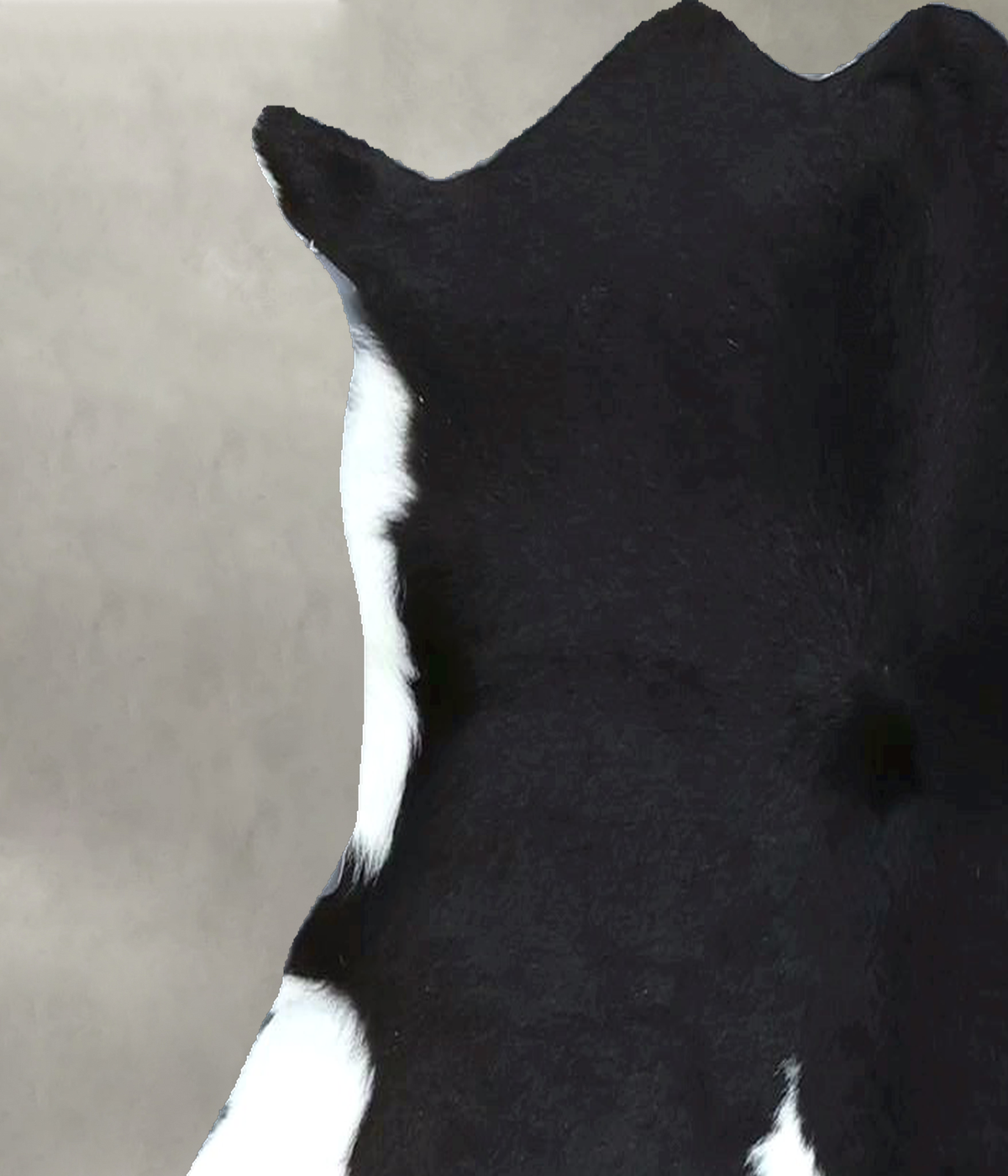 Calfhide Approx 2'x3' #B22048 by Hudson Hides