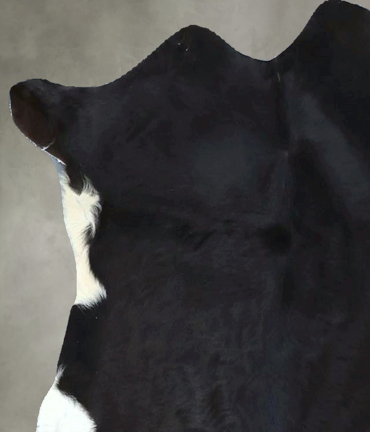 Calfhide Approx 2'x3' #B22050 by Hudson Hides
