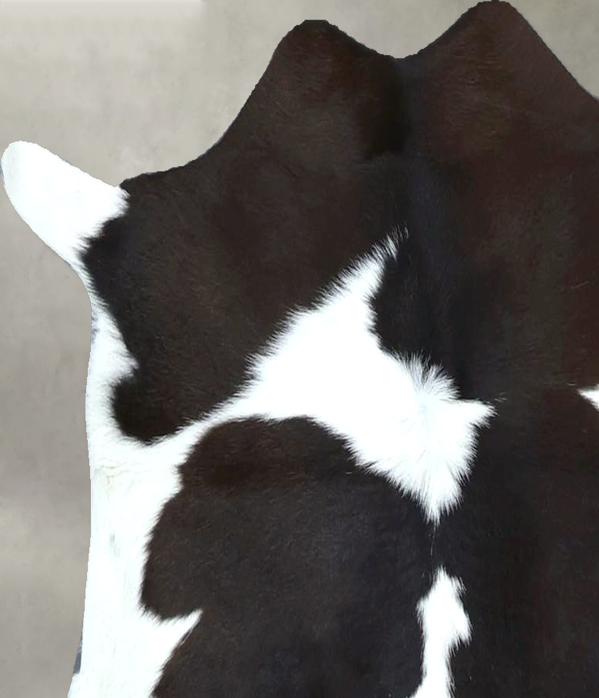 Calfhide Approx 2'x3' #B22051 by Hudson Hides