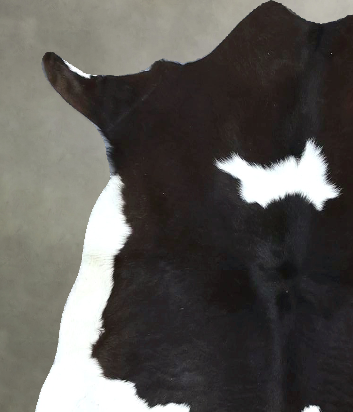 Calfhide Approx 2'x3' #B22054 by Hudson Hides