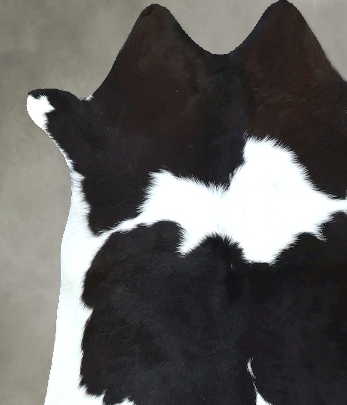 Calfhide Approx 2'x3' #B22055 by Hudson Hides