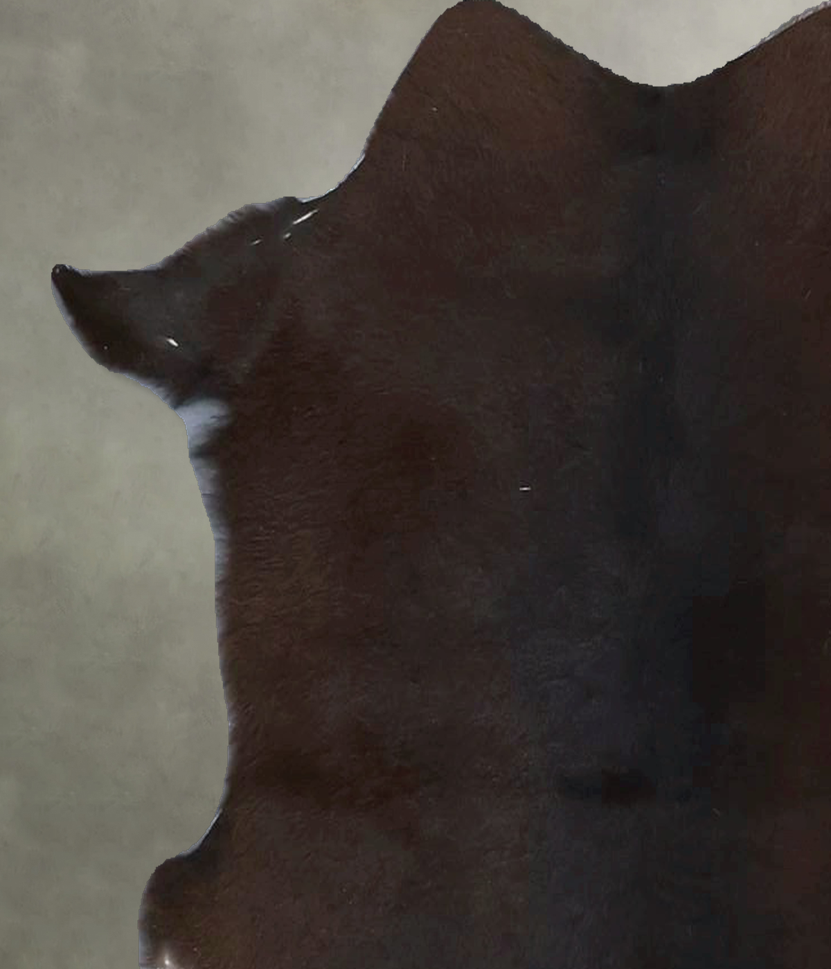 Calfhide Approx 2'x3' #B22058 by Hudson Hides