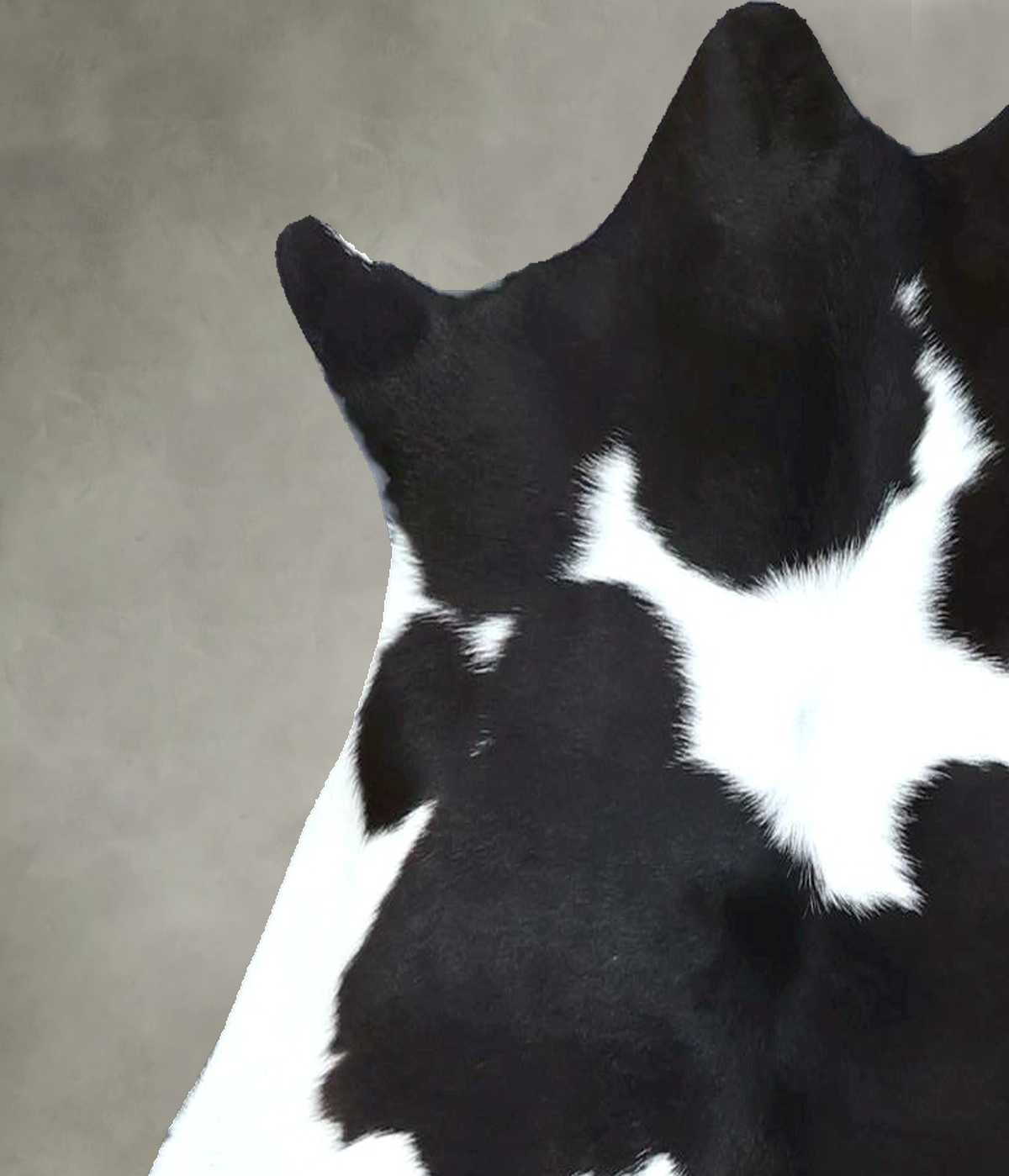 Calfhide Approx 2'x3' #B22060 by Hudson Hides
