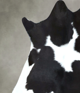 Calfhide Approx 2'x3' #B22060 by Hudson Hides