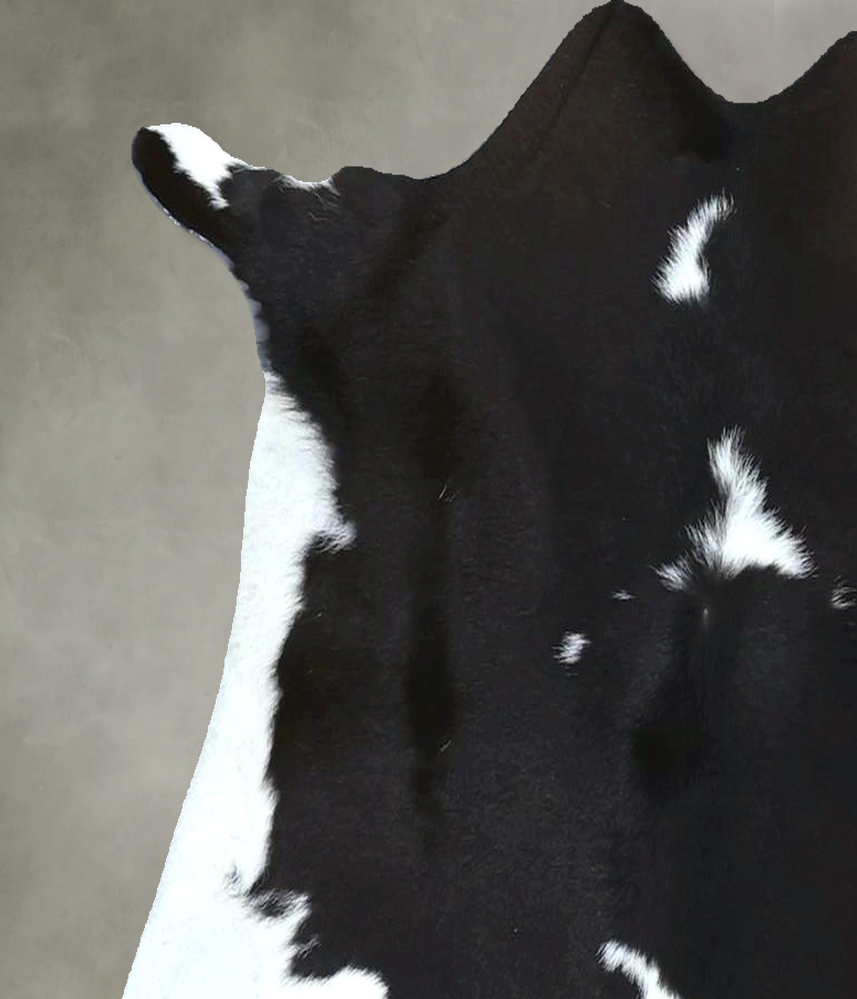 Calfhide Approx 2'x3' #B22061 by Hudson Hides